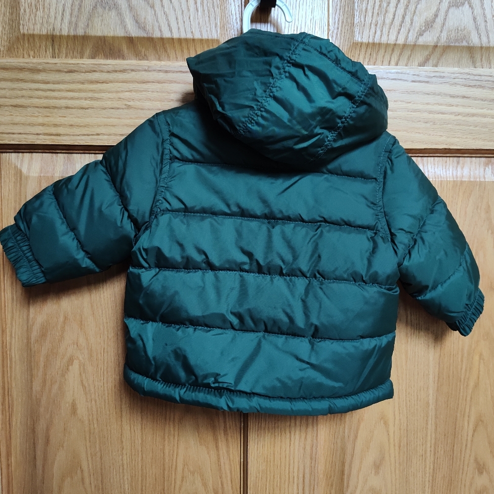 Gymboree Green Puffer Jacket with Hood and Quilted Design, Fleece Lining - Picture 2 of 7